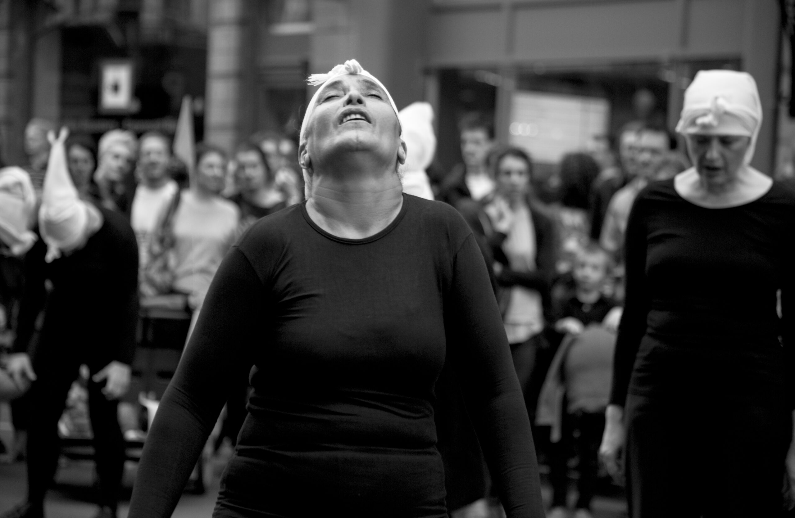 Corbeaux © C Hasnae el Ouarga