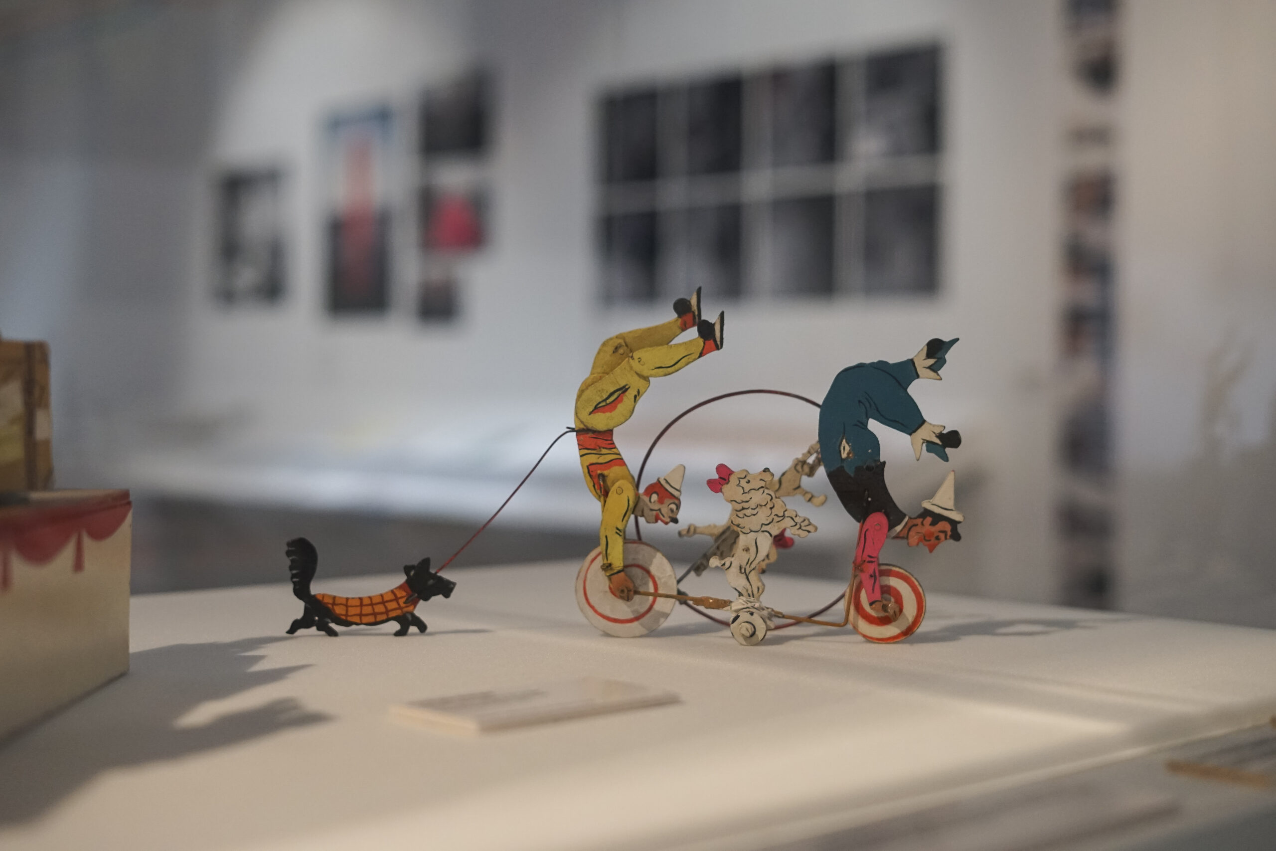 La vie secrète des collections à la belle de mai © Julie Cohen, Mucem