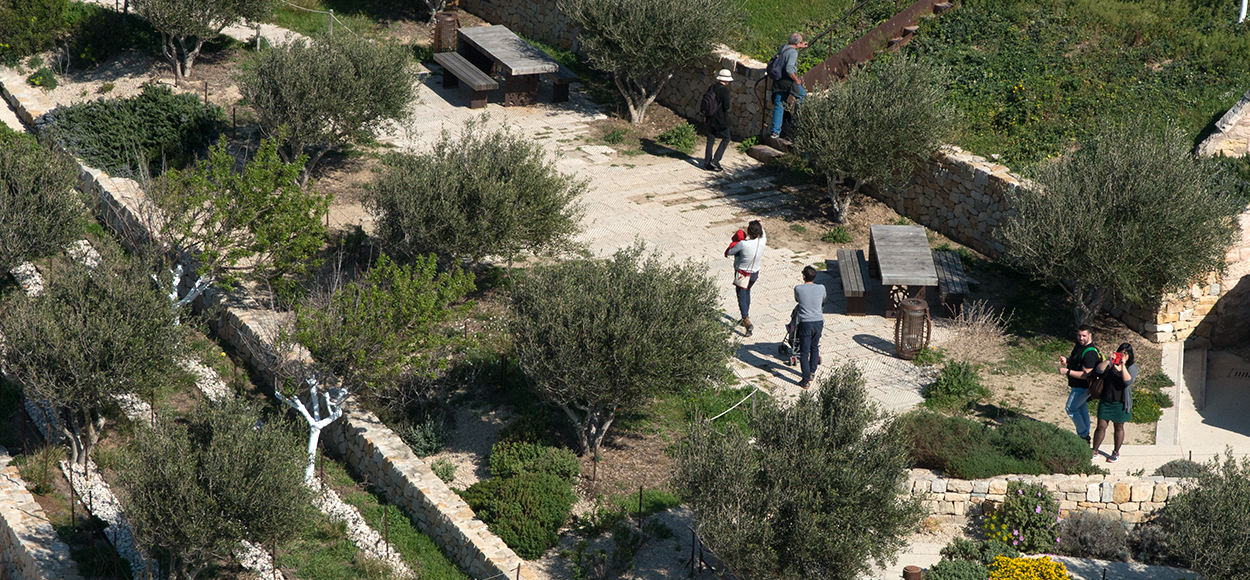 Mucem, Jardin des migrations
