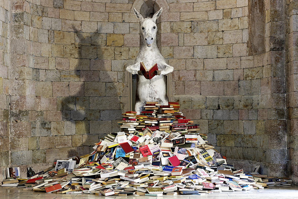 Pilar Albarracin, Asnaria, installation, 2010 © Pilar Albarracin Galerie Georges Philippe & Nathalie Vallois © Adagp, Paris, 2025